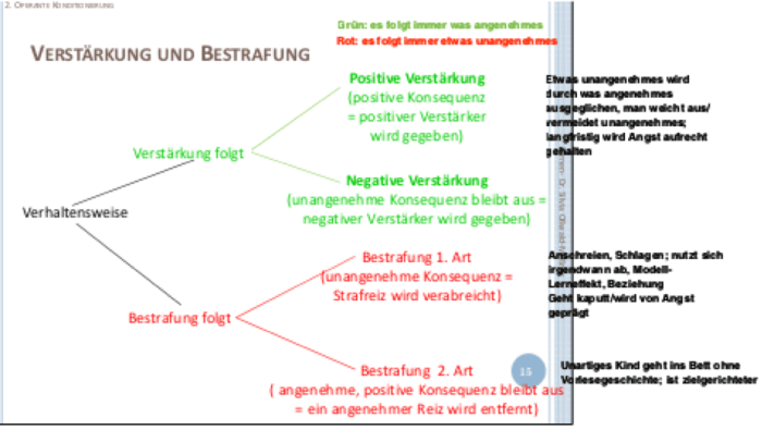 Positive Verstärkung bei Erwachsenen