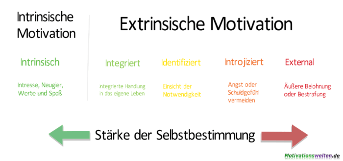 Positive Verstärkung und extrinsische Motivation