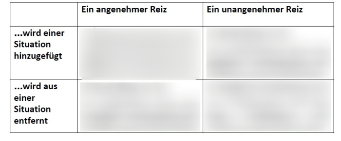 Positive Verstärkung und Bestrafung