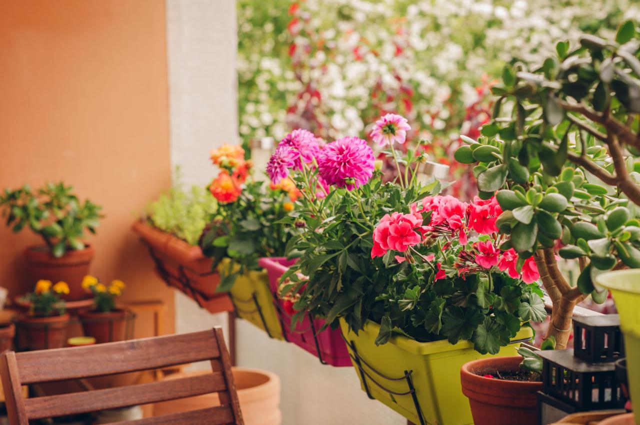 Welche Pflanzen eignen sich für den Balkon?