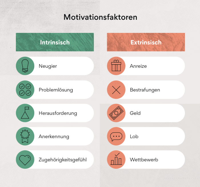 Positive Verstärkung und intrinsische Motivation