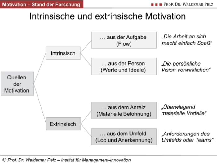 Motivation intrinsische extrinsische barth micha bigas unterschied