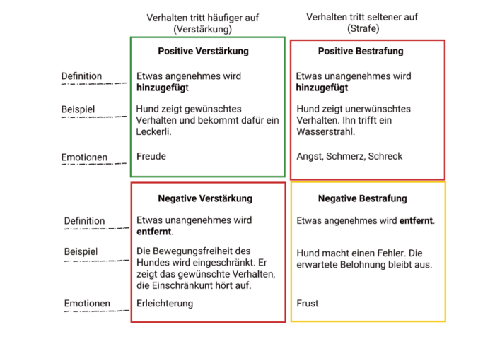 Positive Verstärkung und Motivation