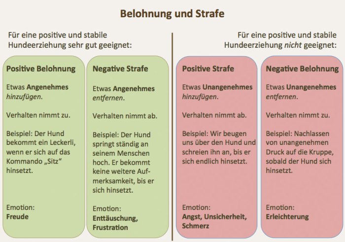 Positive Verstärkung und Bestrafung