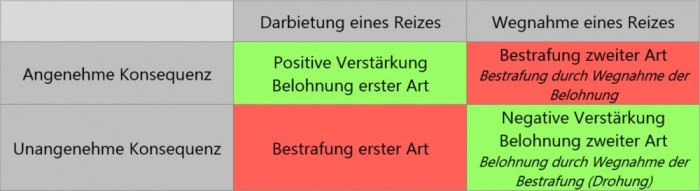 Positive Verstärkung und Lernen