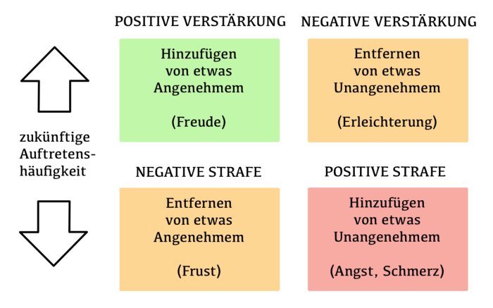 Positive Verstärkung und Konsequenzen