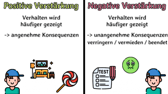 Tabelle konditionieren operantes operante lerntheorie konditionierung teil hund lerntheorien malteser löschung