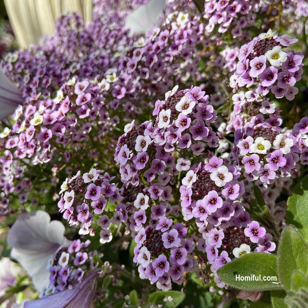 Balcony garden ideas small inspiring source interior